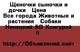 Щеночки-сыночки и дочки › Цена ­ 30 000 - Все города Животные и растения » Собаки   . Ненецкий АО,Хонгурей п.